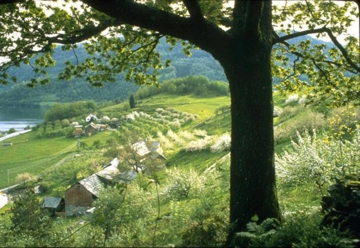 Hardanger Feriesenter Nesvika Villa Норхаймсунд Екстериор снимка